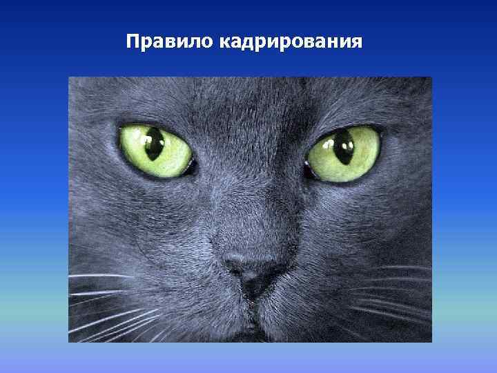 Правило кадрирования 