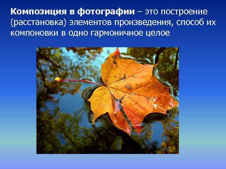 Композиция в фотографии – это построение (расстановка) элементов произведения, способ их компоновки в одно