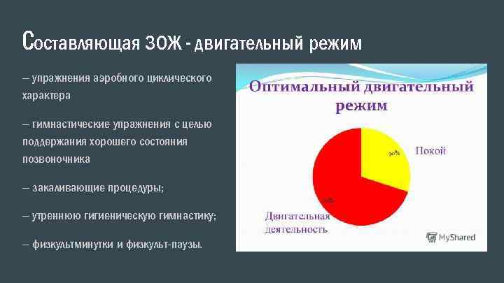 Cоставляющая ЗОЖ – двигательный режим – упражнения аэробного циклического характера – гимнастические упражнения с