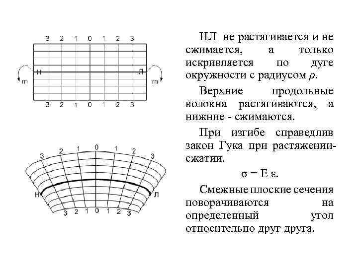 НЛ не растягивается и не сжимается, а только искривляется по дуге окружности с радиусом