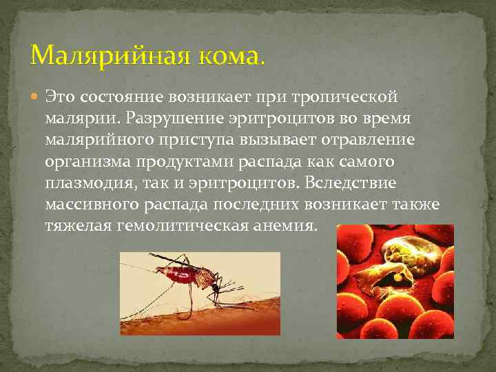 Малярийная кома. Это состояние возникает при тропической малярии. Разрушение эритроцитов во время малярийного приступа