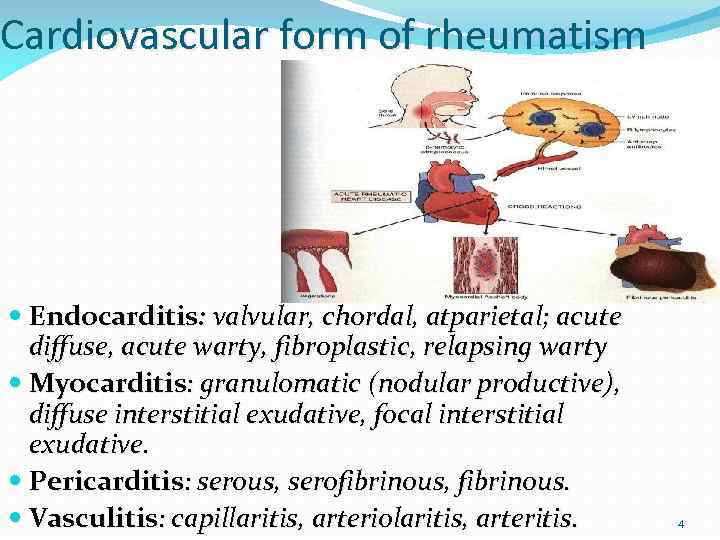 Cardiovascular form of rheumatism Endocarditis: valvular, chordal, atparietal; acute diffuse, acute warty, fibroplastic, relapsing