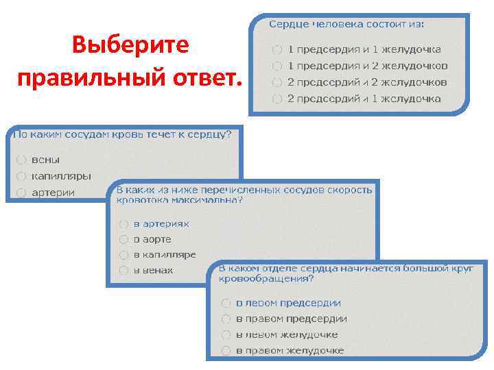 Выберите правильный ответ. 