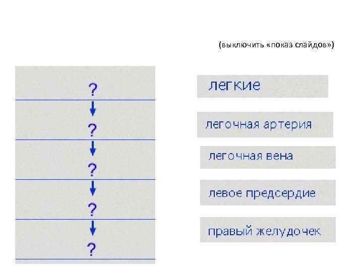 Разместите органы в порядке движения крови по малому кругу кровообращения! (выключить «показ слайдов» )