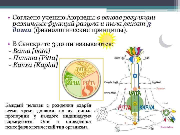  • Согласно учению Аюрведы в основе регуляции различных функций разума и тела лежат