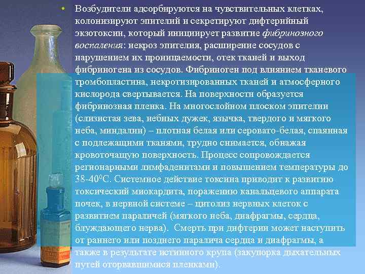  • Возбудители адсорбируются на чувствительных клетках, колонизируют эпителий и секретируют дифтерийный экзотоксин, который