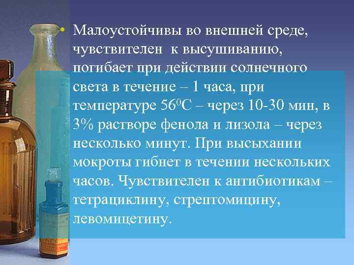  • Малоустойчивы во внешней среде, чувствителен к высушиванию, погибает при действии солнечного света