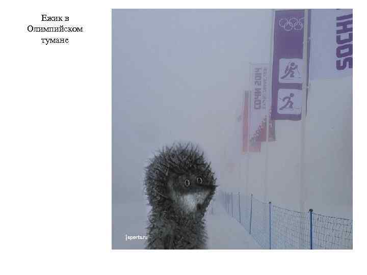 Ежик в Олимпийском тумане 