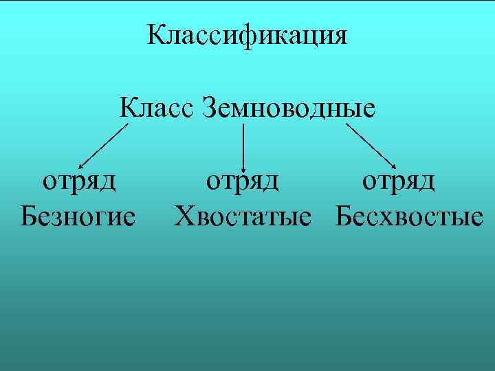 Классификация Класс Земноводные отряд Безногие отряд Хвостатые Бесхвостые 