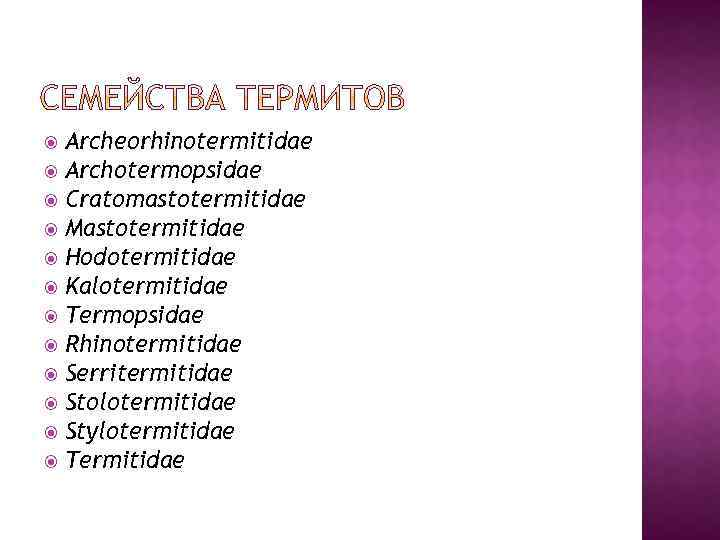 Archeorhinotermitidae Archotermopsidae Cratomastotermitidae Mastotermitidae Hodotermitidae Kalotermitidae Termopsidae Rhinotermitidae Serritermitidae Stolotermitidae Stylotermitidae Termitidae 