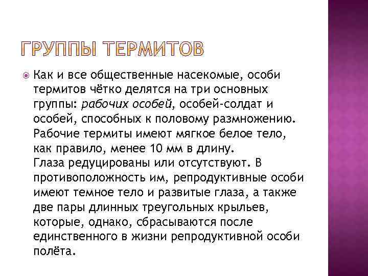  Как и все общественные насекомые, особи термитов чётко делятся на три основных группы: