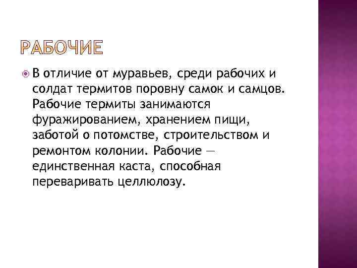  В отличие от муравьев, среди рабочих и солдат термитов поровну самок и самцов.