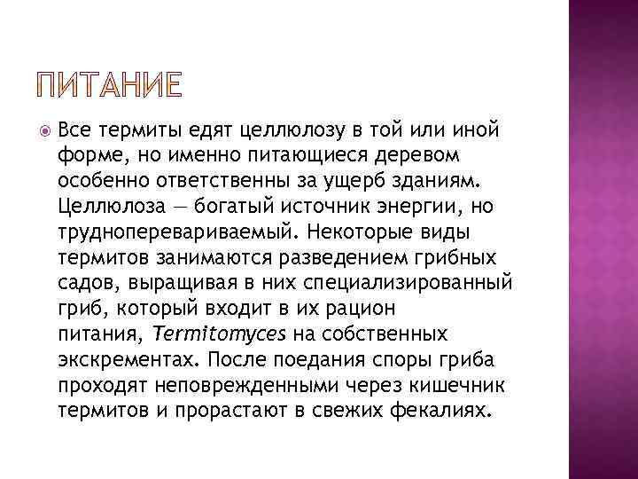  Все термиты едят целлюлозу в той или иной форме, но именно питающиеся деревом