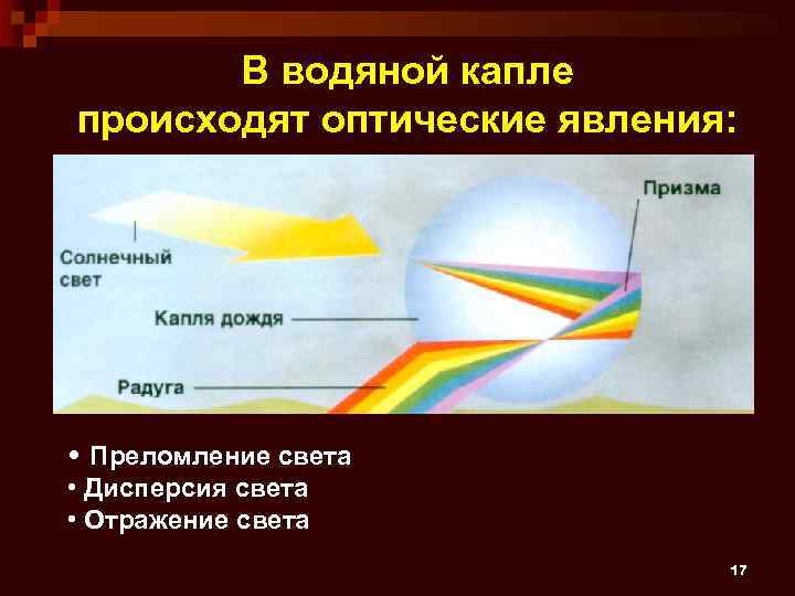 В водяной капле происходят оптические явления: • Преломление света • Дисперсия света • Отражение