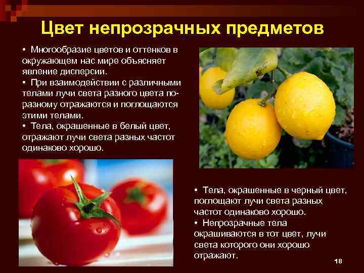 Цвет непрозрачных предметов • Многообразие цветов и оттенков в окружающем нас мире объясняет явление