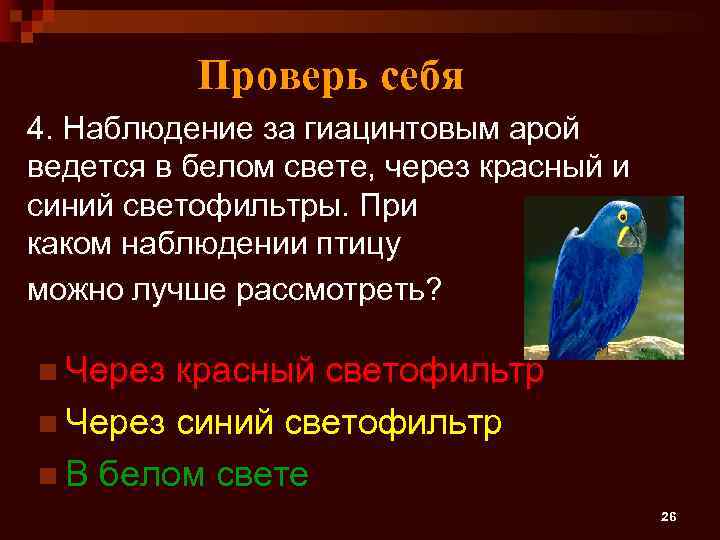 Проверь себя 4. Наблюдение за гиацинтовым арой ведется в белом свете, через красный и