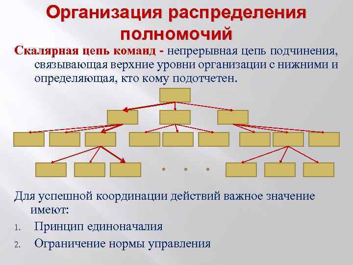 Организация распределения полномочий Скалярная цепь команд - непрерывная цепь подчинения, связывающая верхние уровни организации