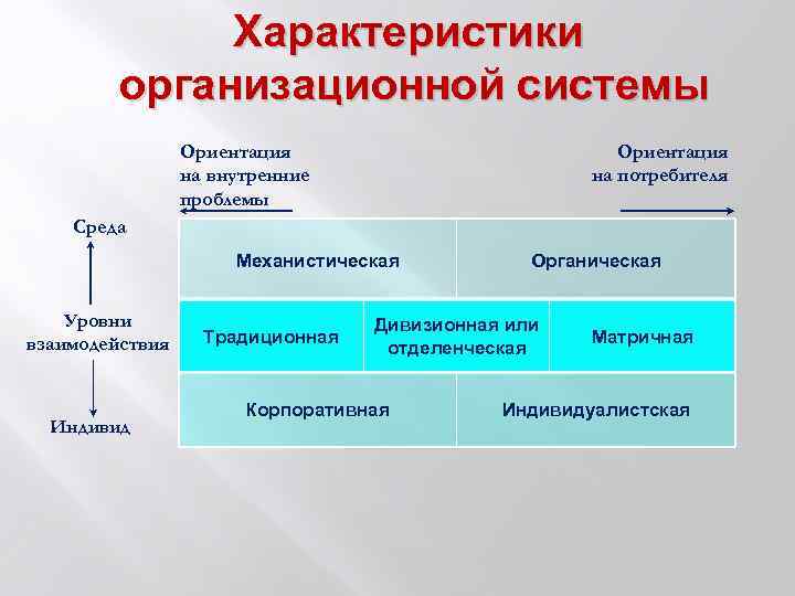 Системная ориентация