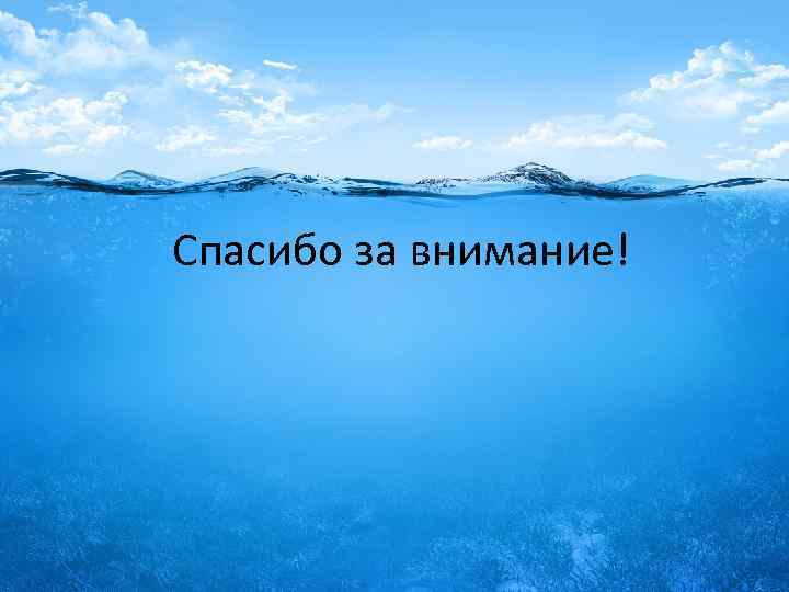 Спасибо за внимание! 