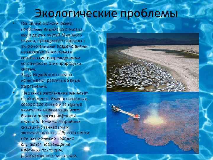  • • Экологические проблемы Основные экологические проблемы Индийского океана, как и других частей