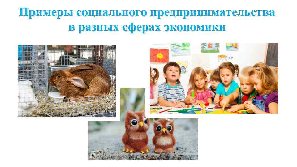 Примеры социального предпринимательства в разных сферах экономики 