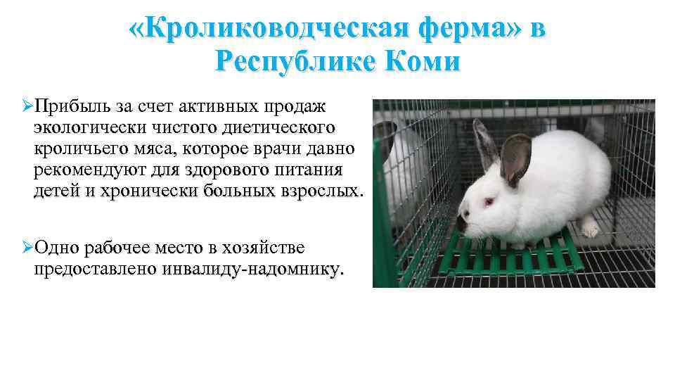  «Кролиководческая ферма» в Республике Коми ØПрибыль за счет активных продаж экологически чистого диетического