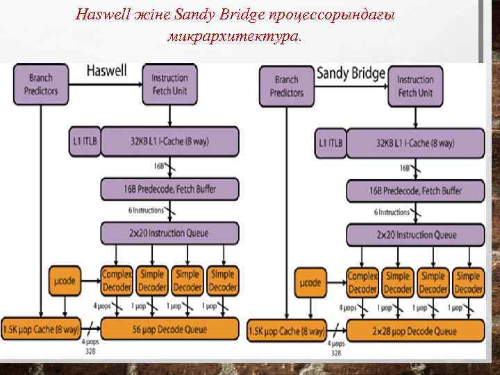 Haswell жіне Sandy Bridge процессорындағы микрархитектура. 