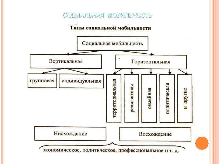 СОЦИАЛЬНАЯ МОБИЛЬНОСТЬ 