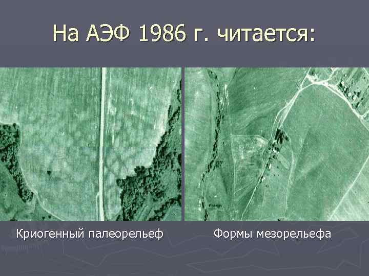 На АЭФ 1986 г. читается: Криогенный палеорельеф Формы мезорельефа 