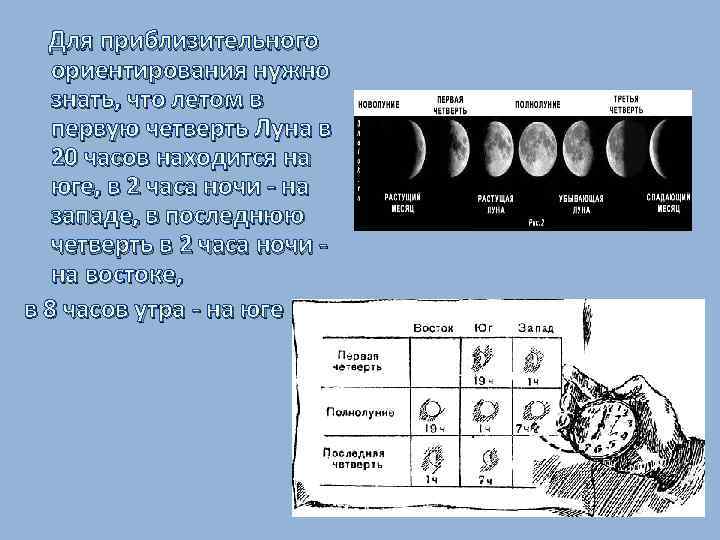 Для приблизительного ориентирования нужно знать, что летом в первую четверть Луна в 20 часов