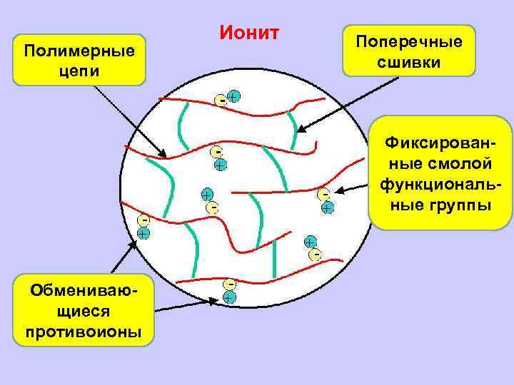 Полимерные цепи Ионит Поперечные сшивки Фиксированные смолой функциональные группы Обменивающиеся противоионы 