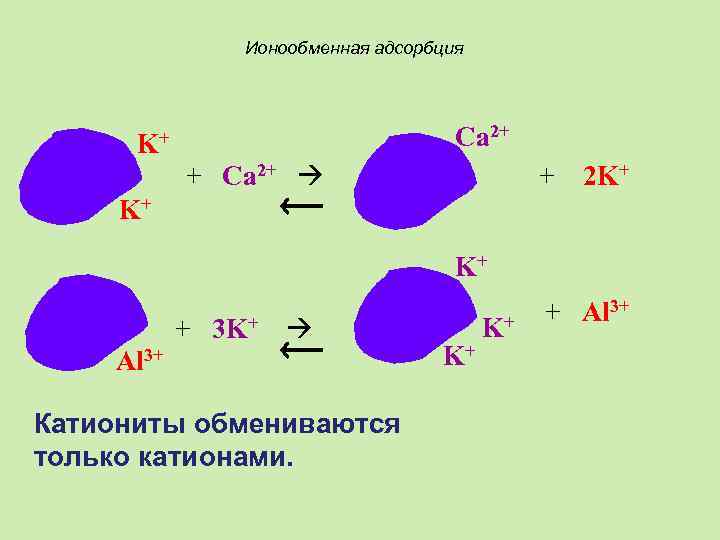 Ионообменная адсорбция Ca 2+ K+ + Ca 2+ + 2 K+ K+ K+ +