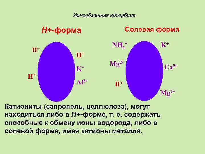 Ионообменная адсорбция Солевая форма Н+-форма H+ NH 4+ H+ K+ Al 3+ Mg 2+