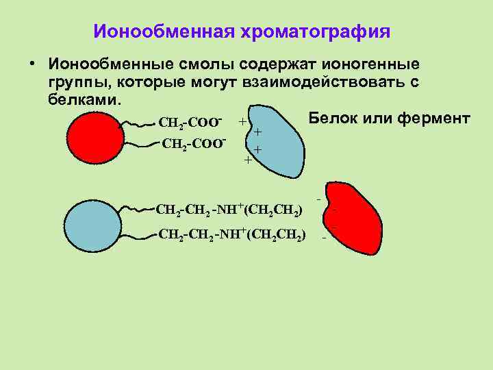 Ионообменная хроматография схема