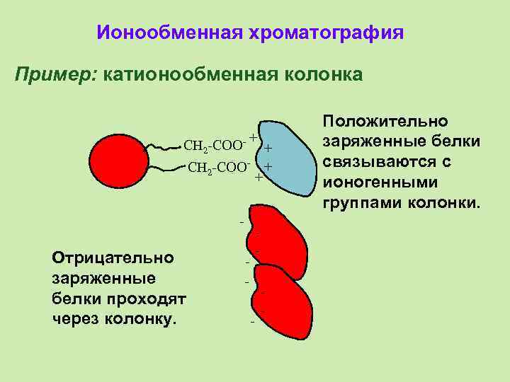 Ионообменная хроматография презентация