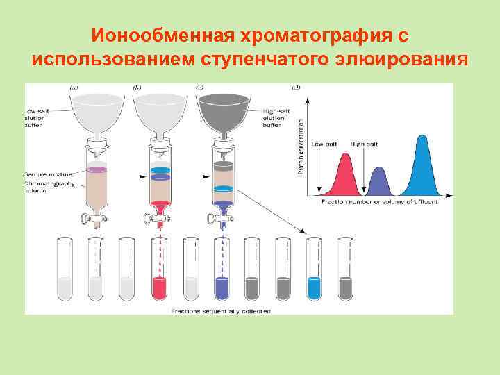 Ионообменная хроматография презентация