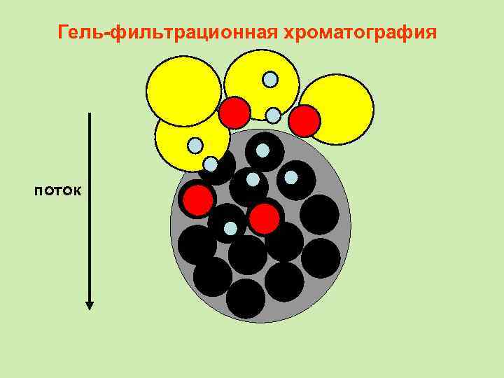 Гель-фильтрационная хроматография поток 