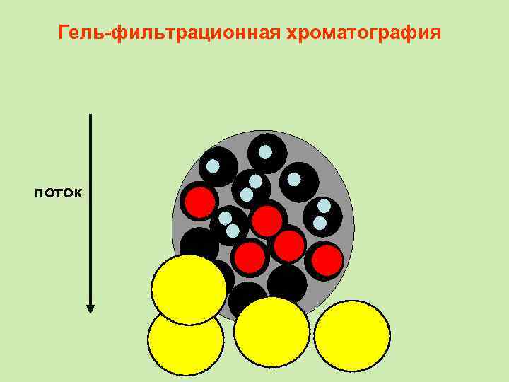 Гель-фильтрационная хроматография поток 