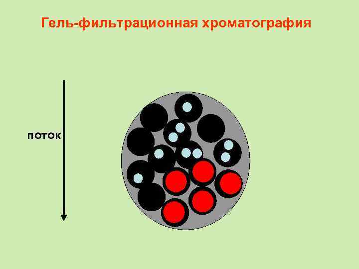 Гель-фильтрационная хроматография поток 