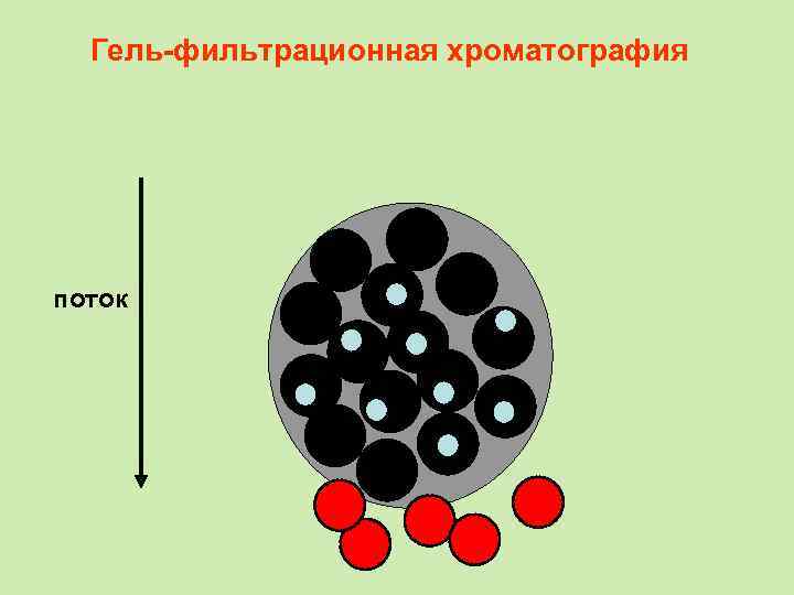 Гель-фильтрационная хроматография поток 