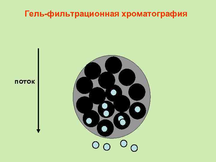 Гель-фильтрационная хроматография поток 