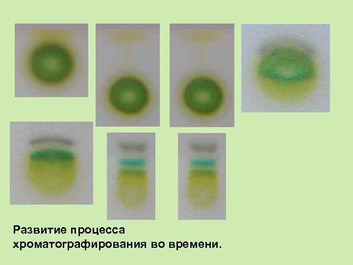 Развитие процесса хроматографирования во времени. 