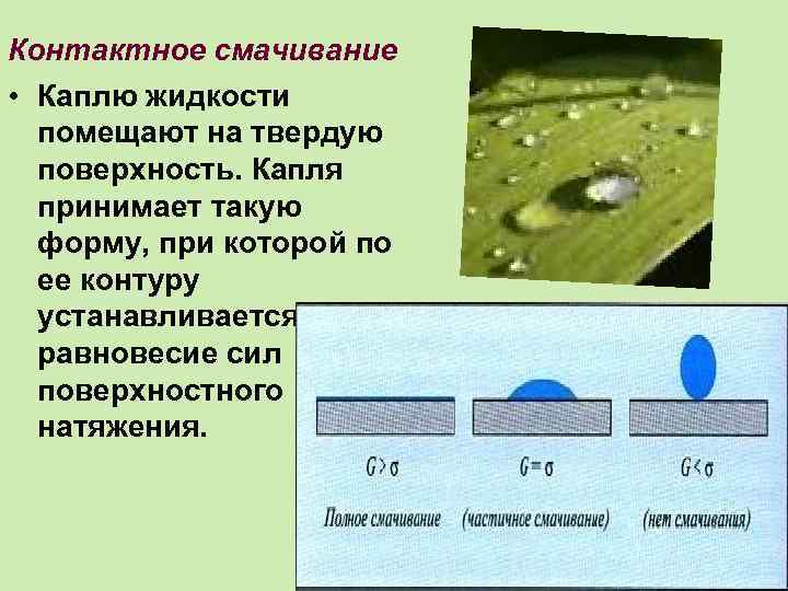 Работа смачивания