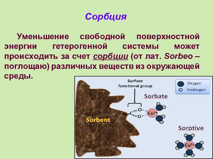 Сорбция