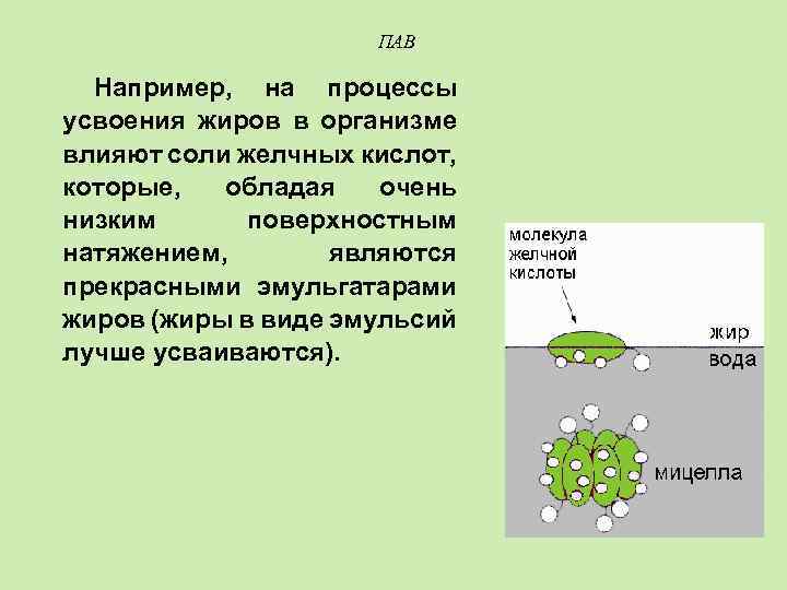 ПАВ Например, на процессы усвоения жиров в организме влияют соли желчных кислот, которые, обладая