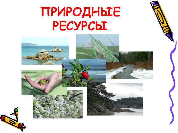 ПРИРОДНЫЕ РЕСУРСЫ 