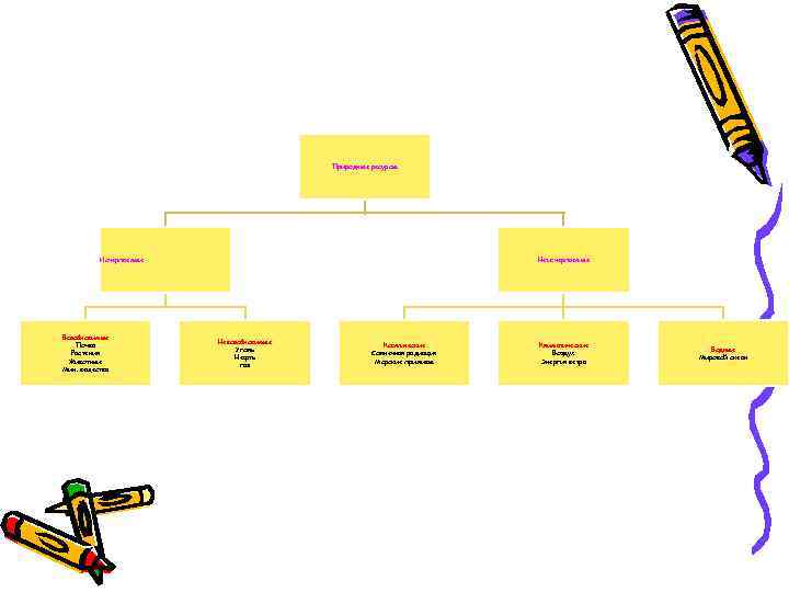 Природные ресурсы Исчерпаемые Возобновимые Почва Растения Животные Мин. вещества Неисчерпаемые Невозобновимые Уголь Нефть газ