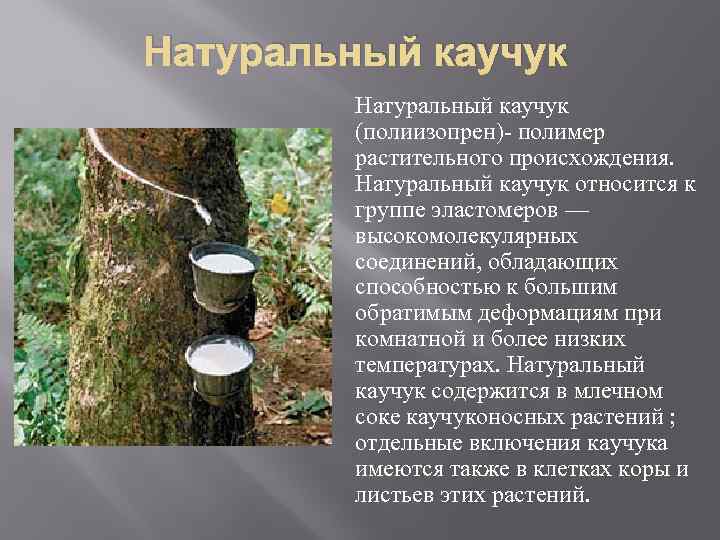Натуральный каучук (полиизопрен)- полимер растительного происхождения. Натуральный каучук относится к группе эластомеров — высокомолекулярных