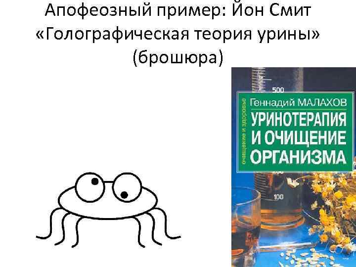 Апофеозный пример: Йон Смит «Голографическая теория урины» (брошюра) 