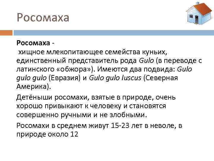 Росомаха хищное млекопитающее семейства куньих, единственный представитель рода Gulo (в переводе с латинского «обжора»